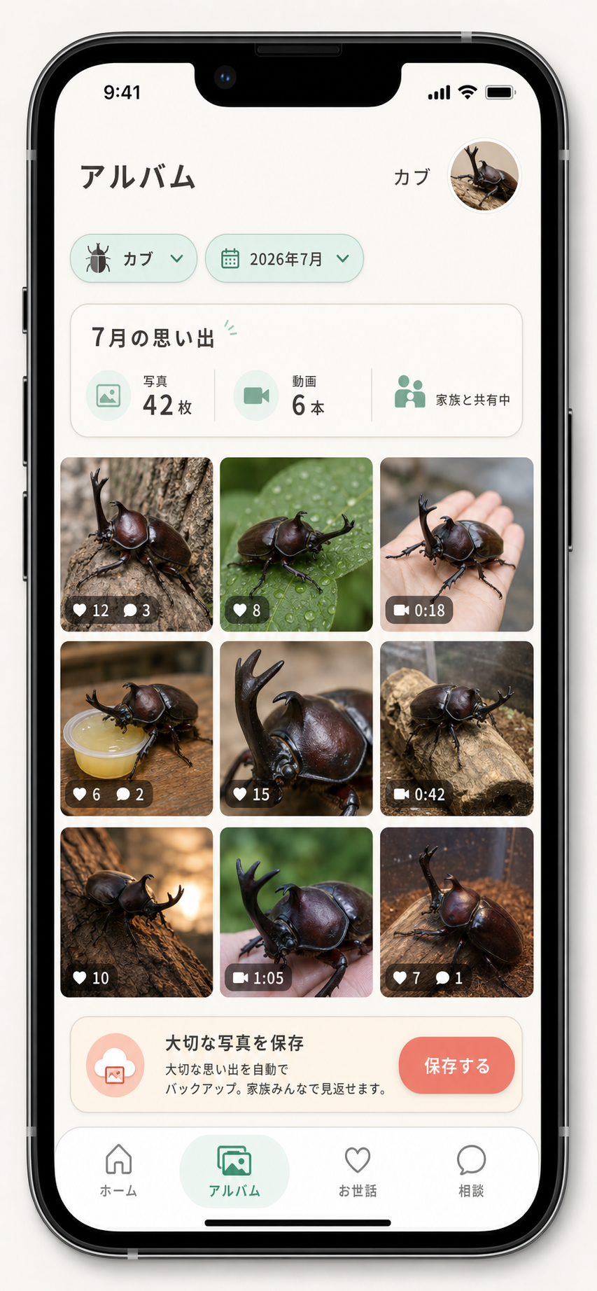 カブトムシ カブ のアルバム