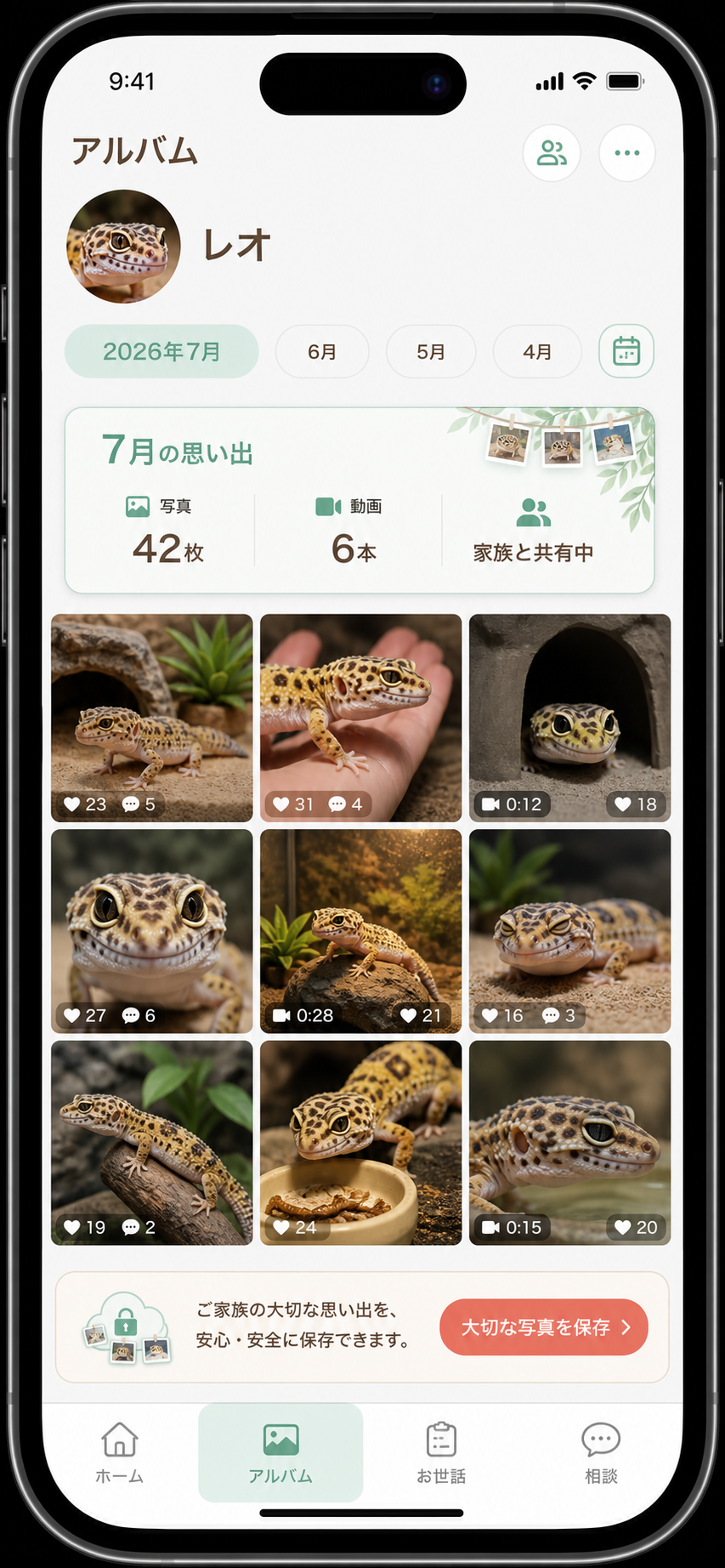 ヒョウモントカゲモドキ レオ のアルバム